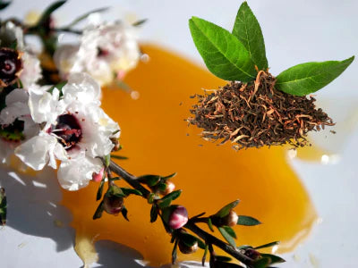 Tea Tree + Manuka Oil